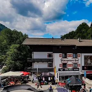 Отель Pinzgauerhof & Bike - Inclusive Evening Dinner